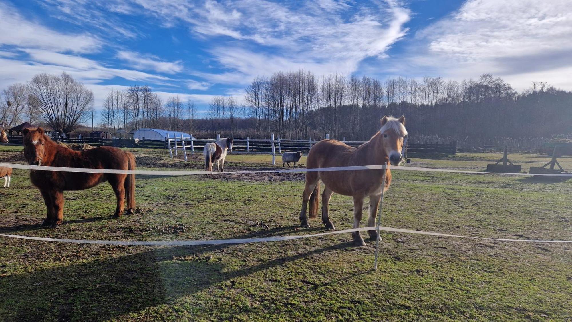 Rancho Colorado Βίλα Trzciel Εξωτερικό φωτογραφία