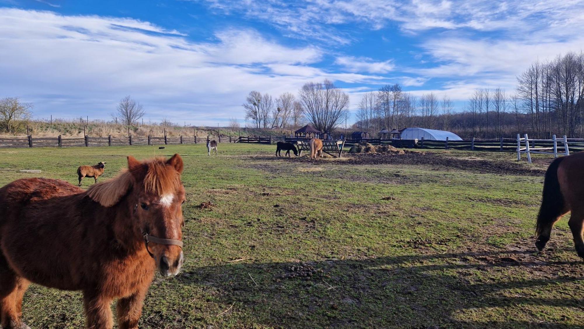 Rancho Colorado Βίλα Trzciel Εξωτερικό φωτογραφία