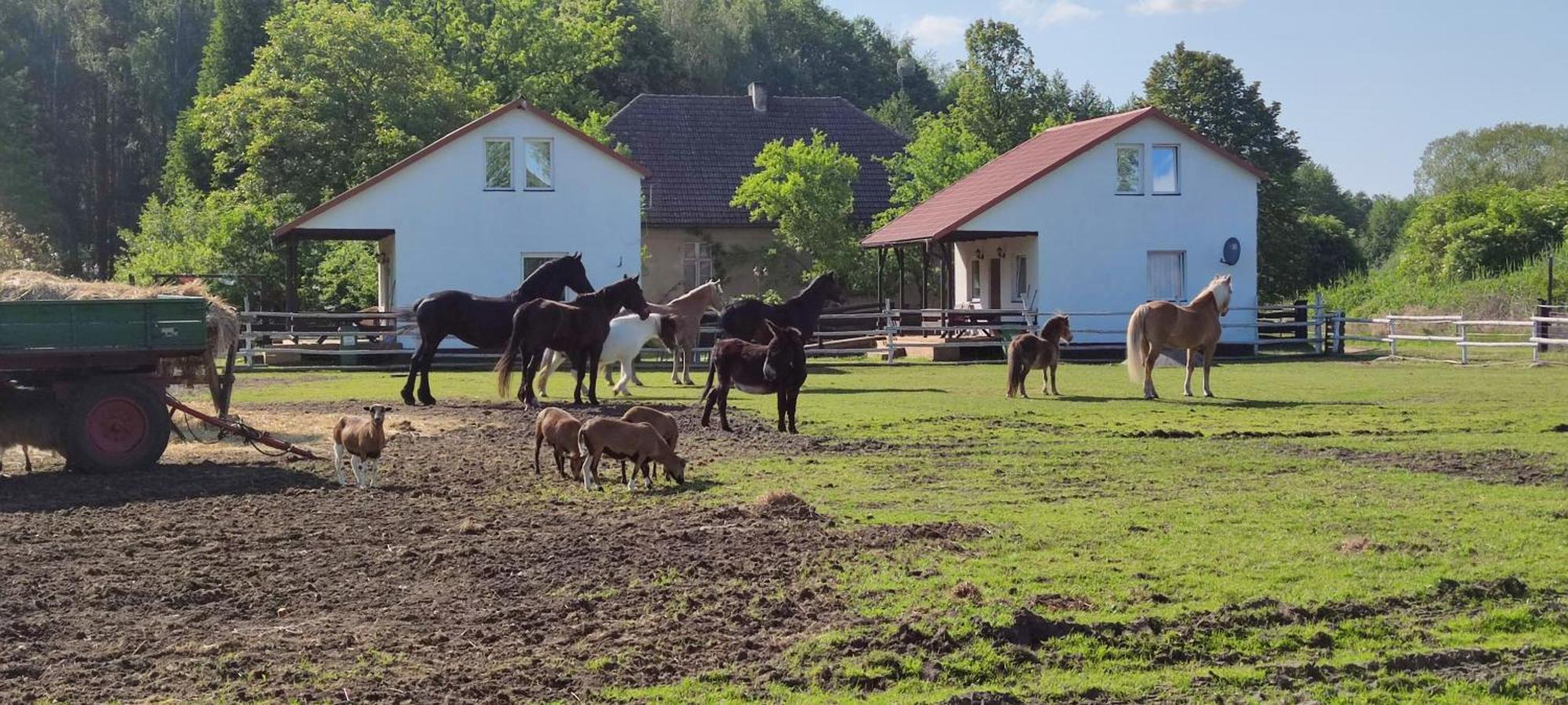 Rancho Colorado Βίλα Trzciel Εξωτερικό φωτογραφία