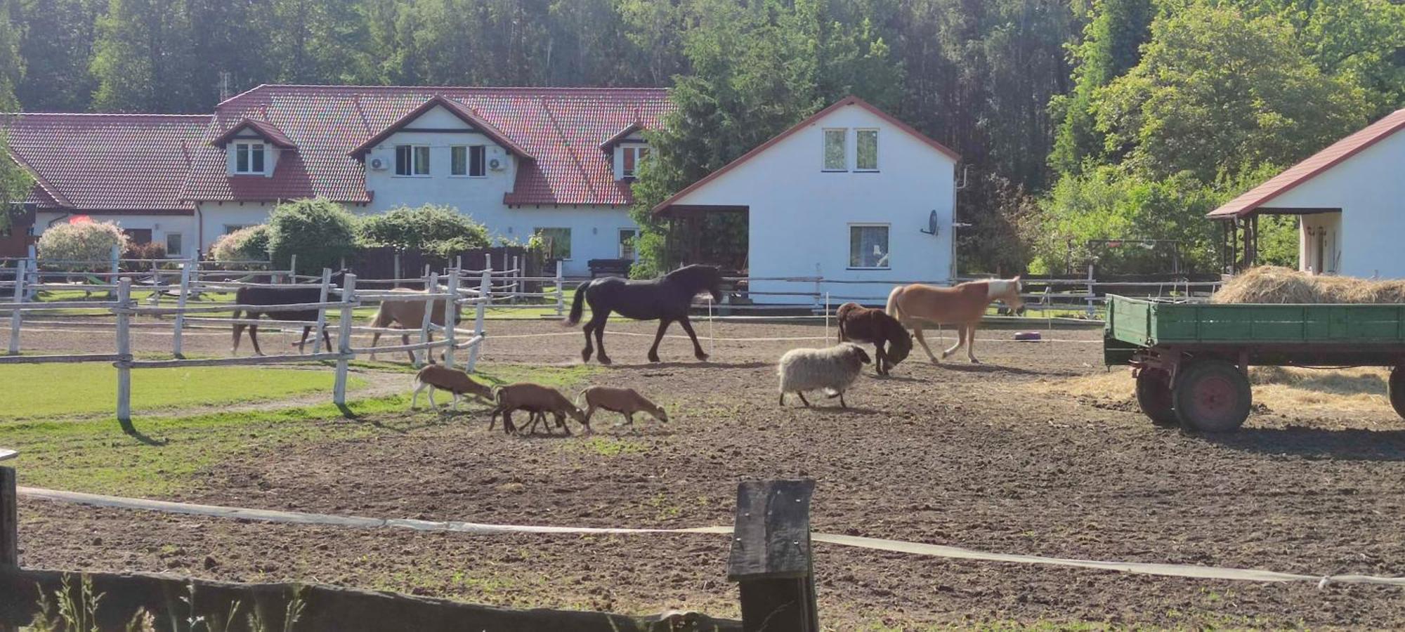 Rancho Colorado Βίλα Trzciel Εξωτερικό φωτογραφία